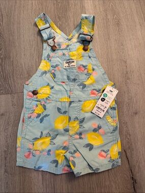 OshKosh B'gosh Light Blue Lemon Print Shortalls